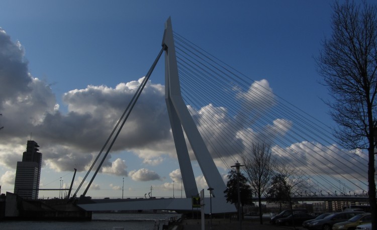 Erasmusbrug, Iconic Symbol of Rotterdam